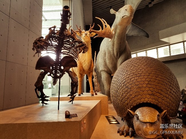 上海星部落 走进自然博物馆
