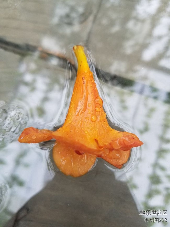 一个经典设计的自我修养！三星领世8：重塑奢华，铸就不凡