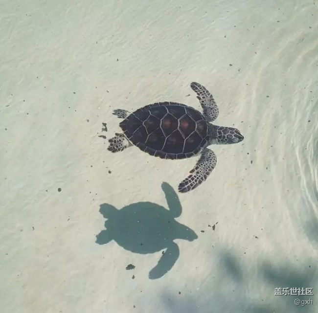 不说 不说