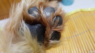 给我看看手相吧