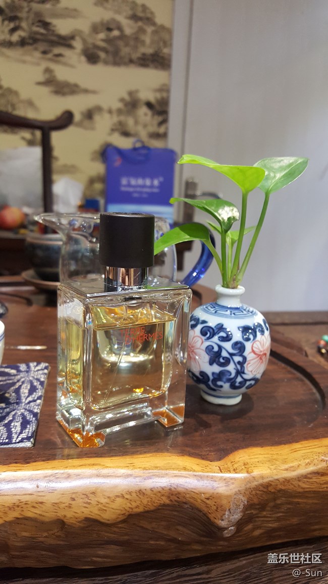 照片走一个