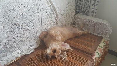 看我这xiaohun的睡姿