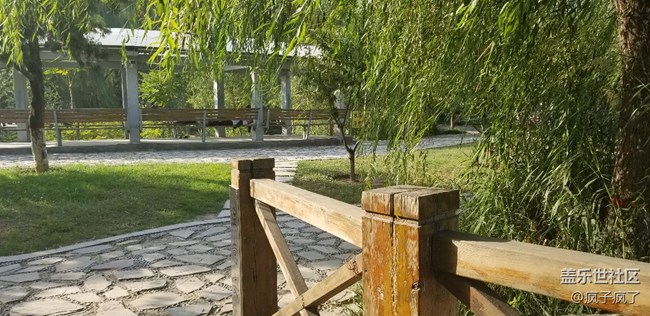 今天对比note5拍照