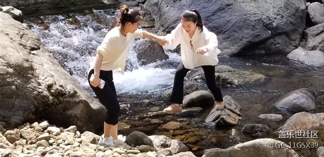 新机试机