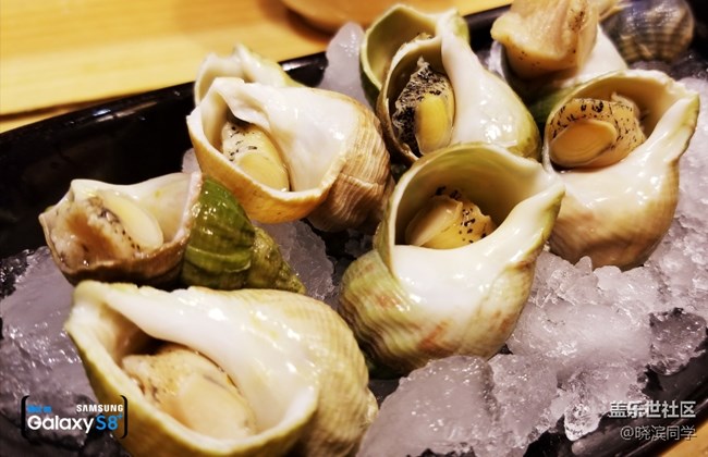 Japan料理
