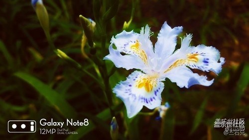 请问note 8拍照怎么能有这样的水印