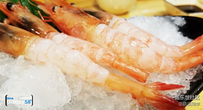 Japan料理