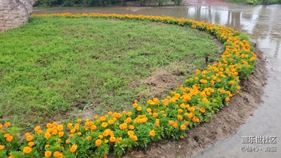 下雨天，回家路上。