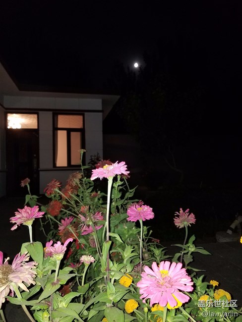 note8拍照真的很不错