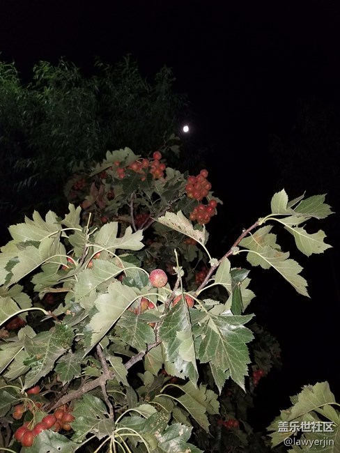 note8拍照真的很不错