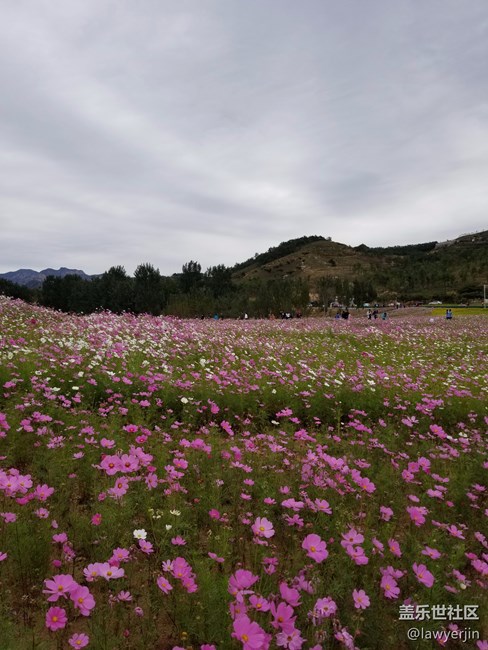 note8拍照真的很不错