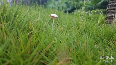 随手拍