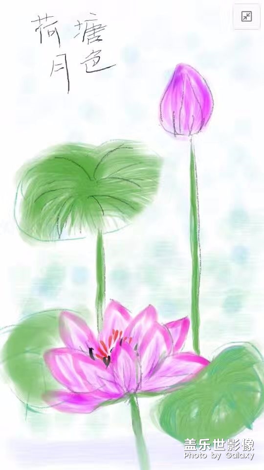 note8 VS note 7随手画