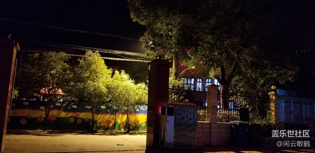 相机自动和专业模式拍照对比