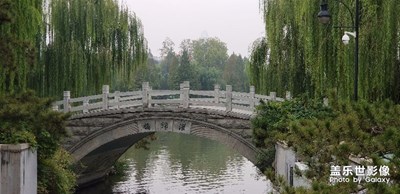 十一，Note8见证，大明湖畔的夏雨荷