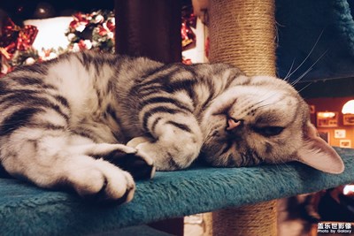 拍才知道+吾喵万岁