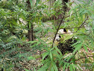 拍才知道+醉美成都