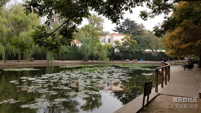 拍才知道+无聊逛逛八大关
