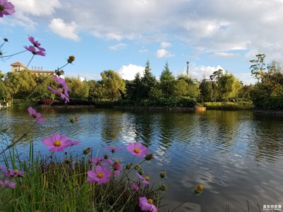 花伴水