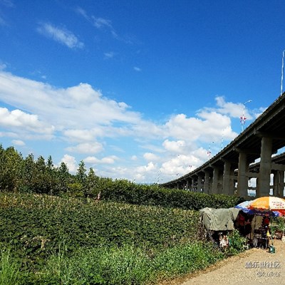 拍才知道+还来得及
