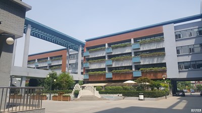 同一个城市的两个小学，差距咋就这么大嗫