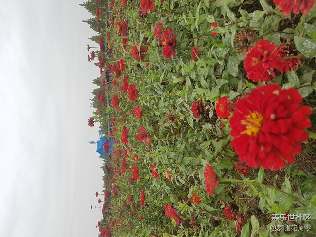 再来几张照片~~