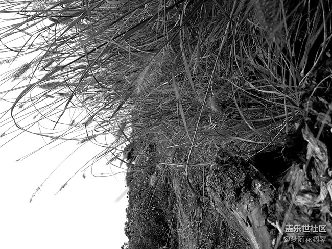 再来几张照片~~