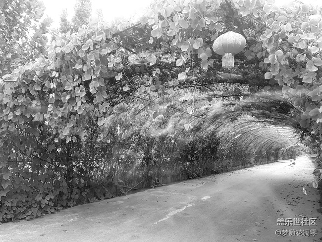 再来几张照片~~