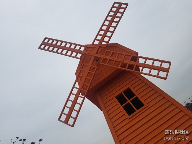 再来几张照片~~