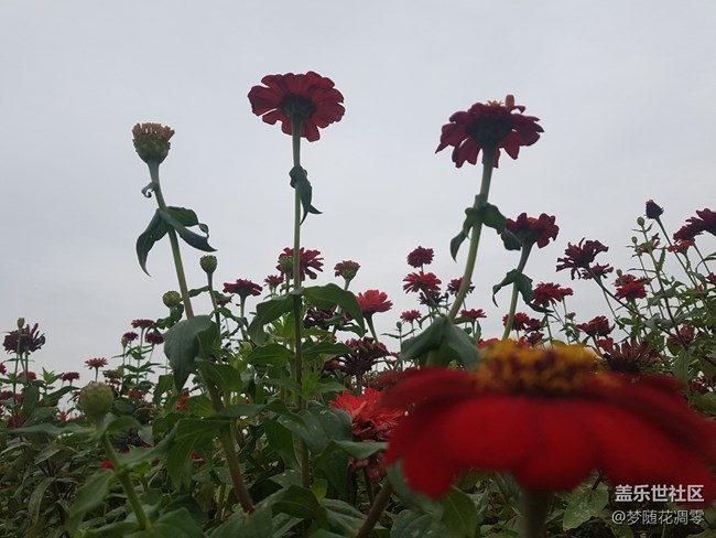 再来几张照片~~