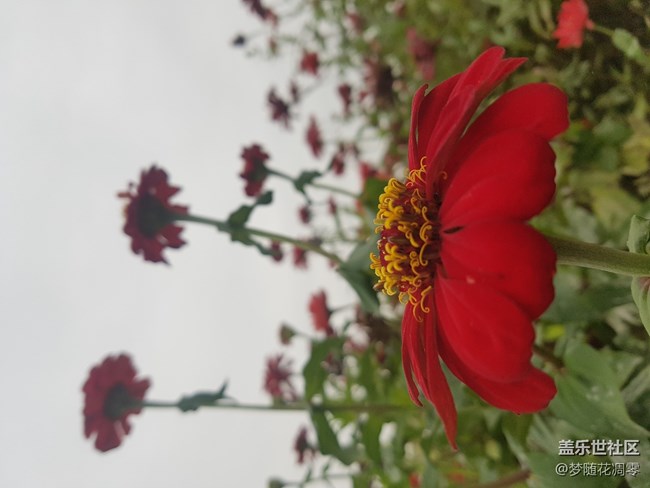 再来几张照片~~