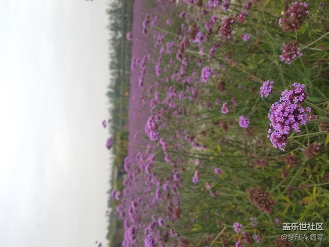 再来几张照片~~