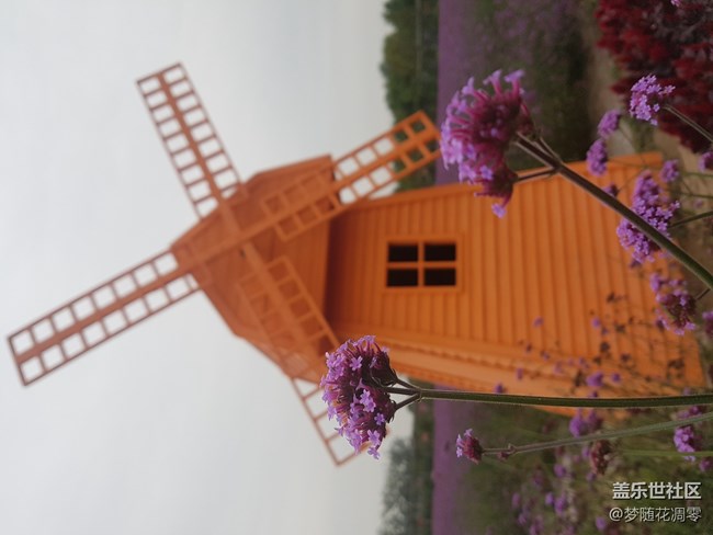 再来几张照片~~