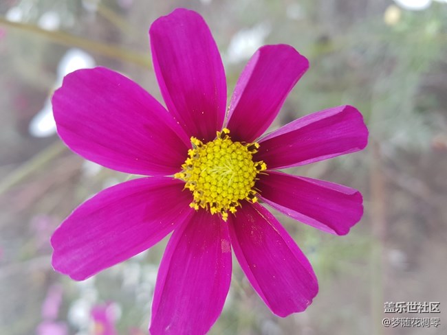 再来几张照片~~