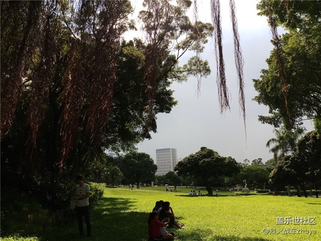 三星中国特供机C8——中端机的新选择