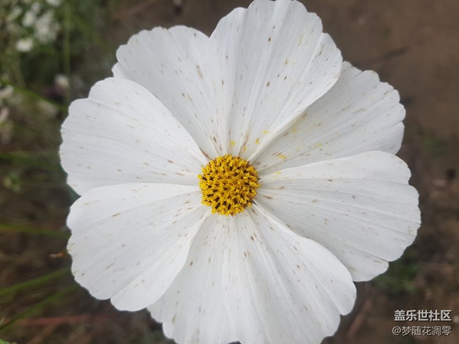 再来几张照片~~