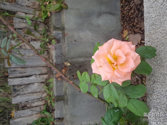 再来几张照片~~