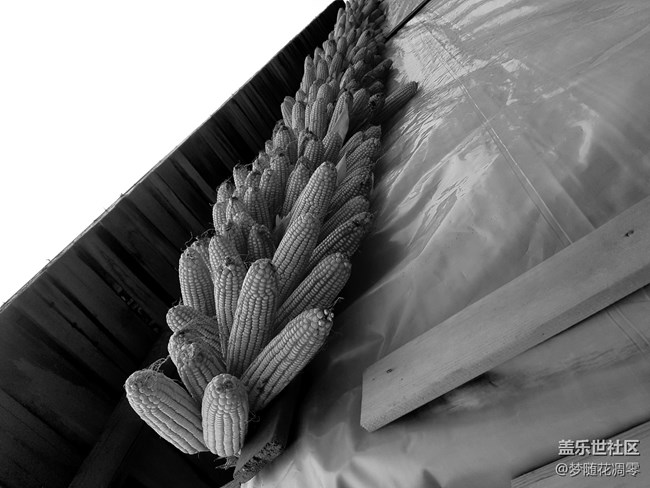 再来几张照片~~