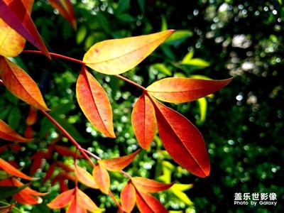 s7光影练习