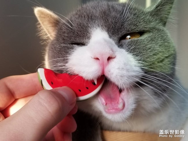 每周精帖汇【第76期:Bixby中文版内测活动即将上线】 每周精帖汇【第76期:Bixby中文版内测活动即将上线】