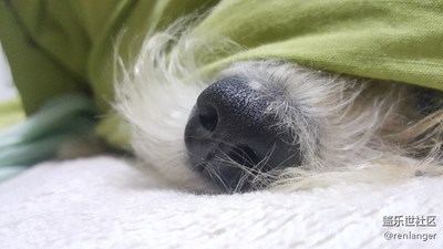继续二货小鼻子