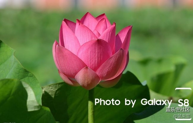 听说Note8有专属水印，希望也有S8系列的专属水印