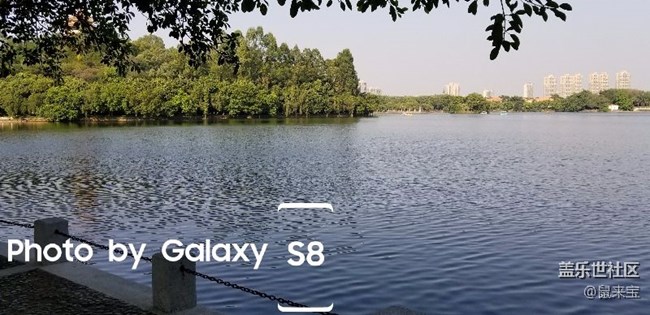 S8微信提示无法连接到服务器是什么原因? -