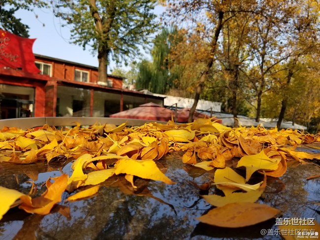 每周精帖汇【第76期:Bixby中文版内测活动即将上线】 每周精帖汇【第76期:Bixby中文版内测活动即将上线】