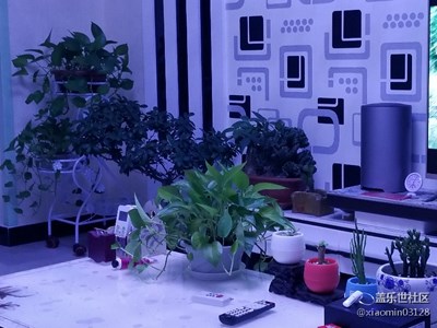 我家的夜景