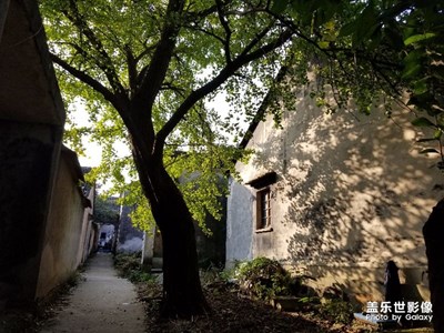 【拍，才知道】note8随手拍，素苏州太湖西山岛