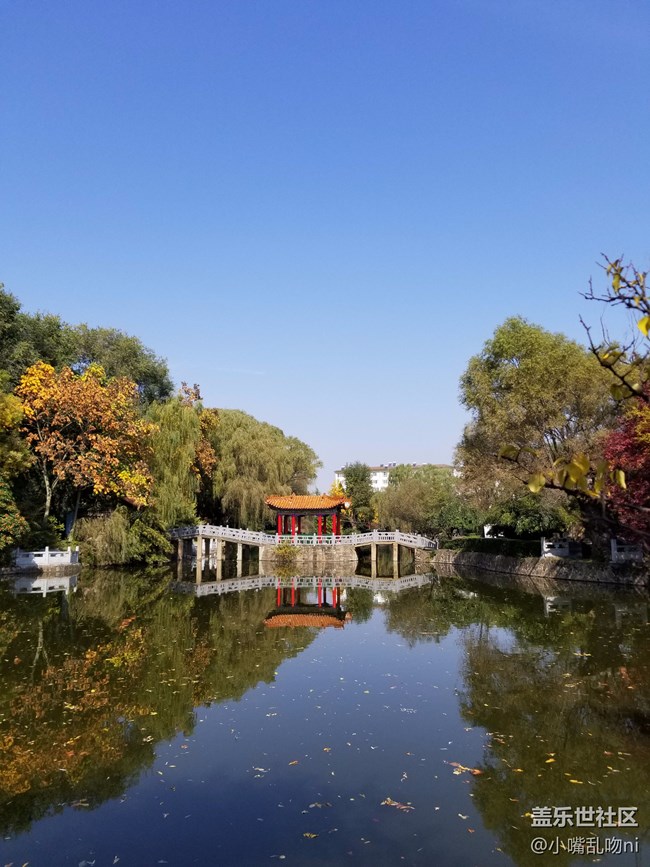 S8拍照不错