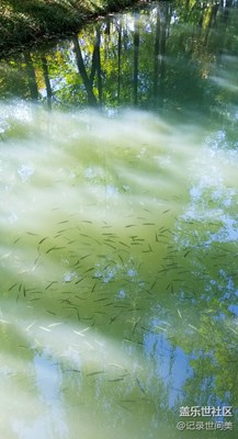 秋气轻寒可人天。