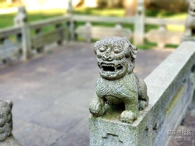 【拍，才知道】note8随手拍几张