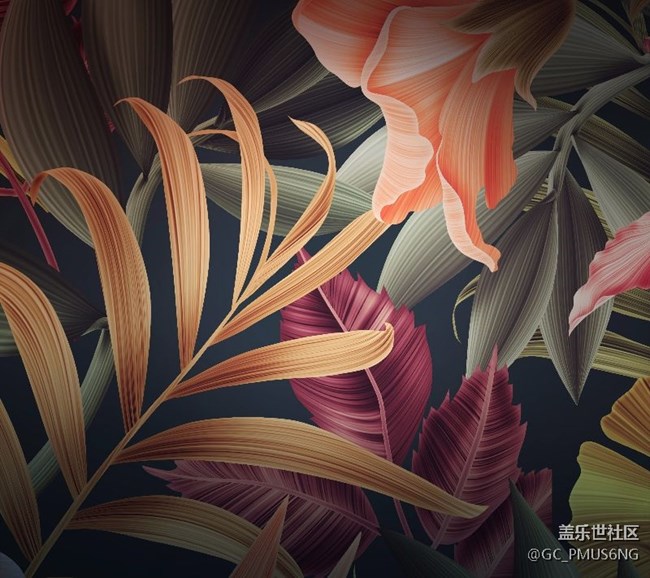 壁纸欣赏（原生）